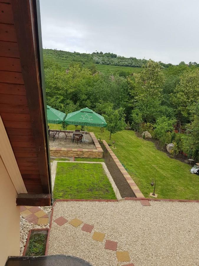Pensiunea Brazi Turda Exteriör bild