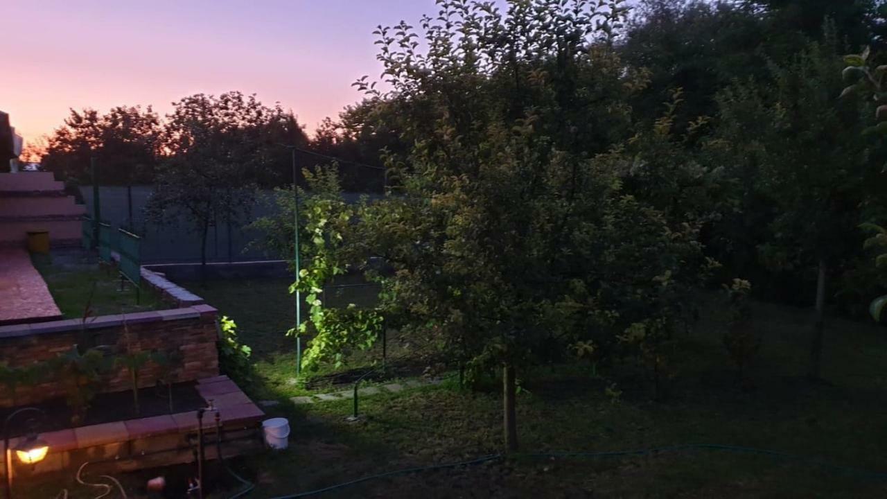 Pensiunea Brazi Turda Exteriör bild